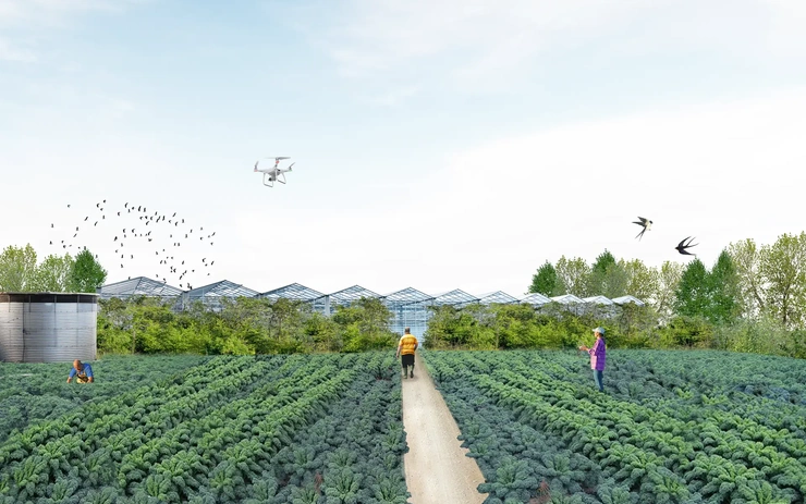 Cill Ulta Bioeconomy Hub: Rural Regeneration Plan