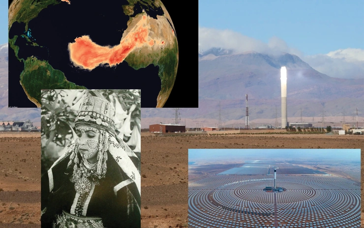 New Ecological Order