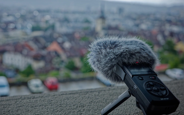 Urban Soundscape Ecology for the Multispecies City