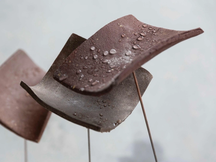 Leaking Roof: A Roof Communicating with Water