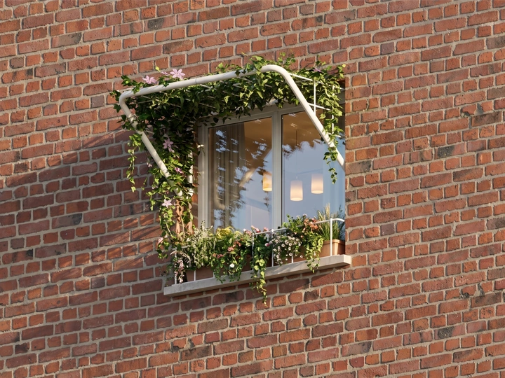 A Window for a Tree
