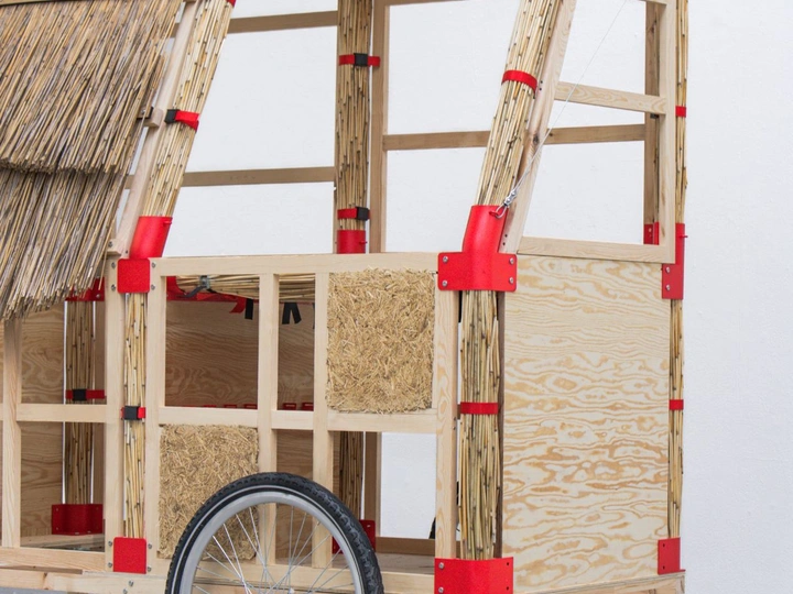 Building with reed plants for community creation.