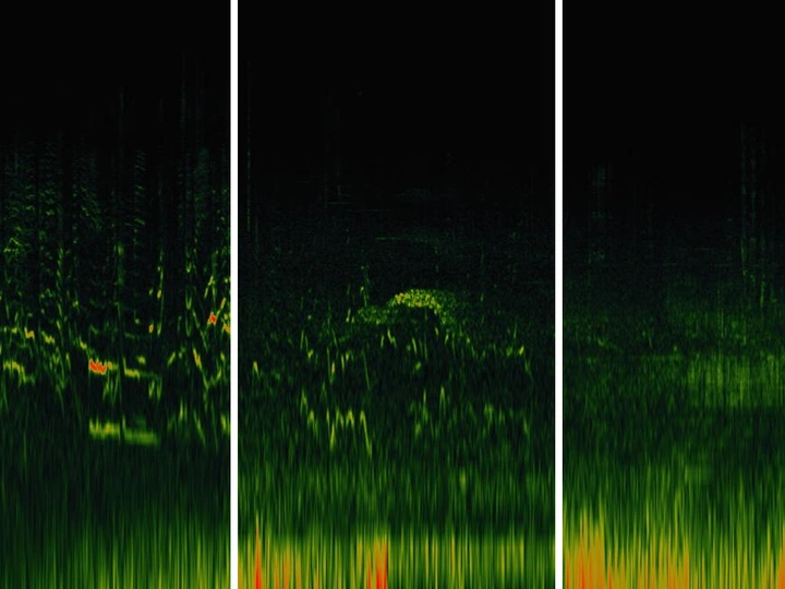 Multi-layered listening to spatial appropriation
