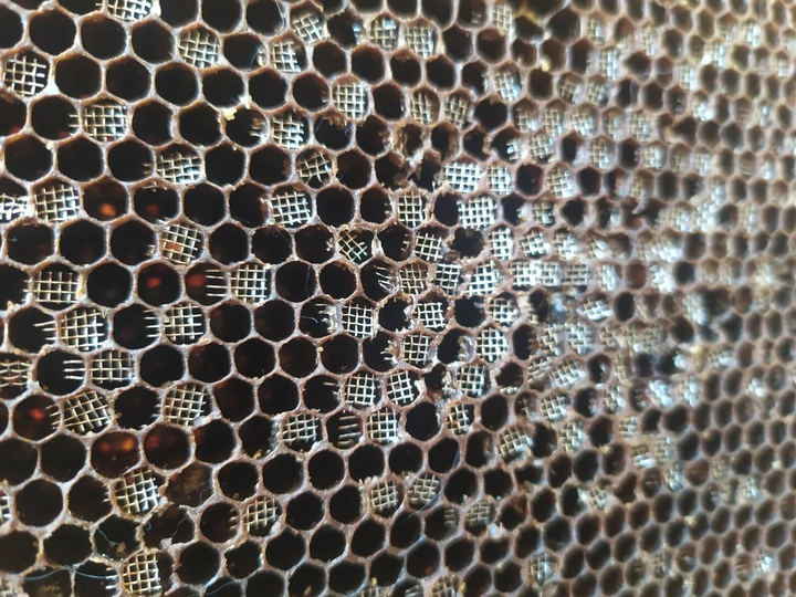 Staying with the Landscape