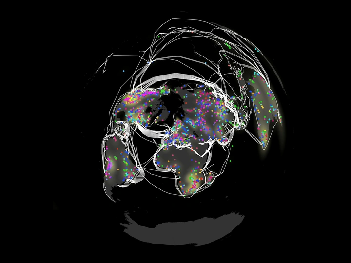 From Million Years to Millseconds