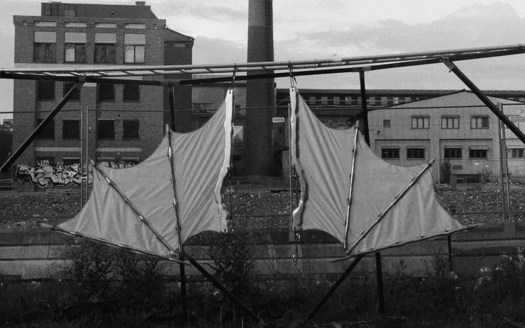 (em)Bodied Animal Training