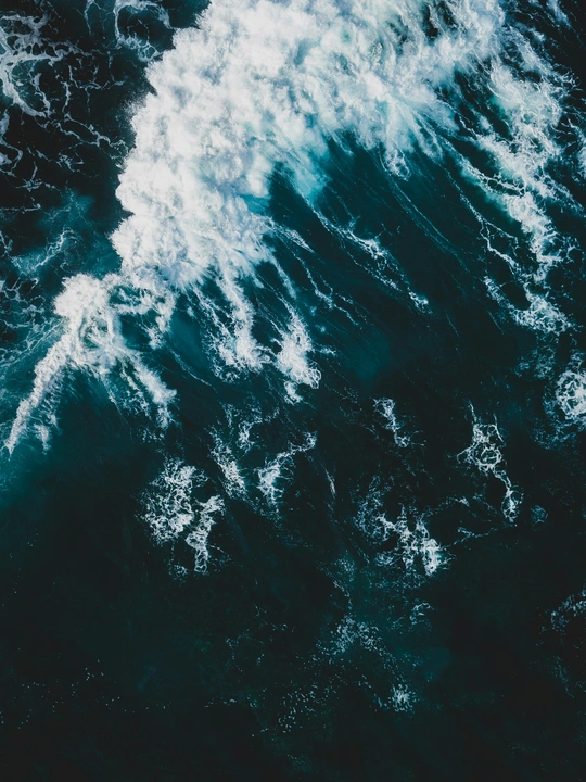 NULIO AI: Signature-Ready DNSH/LCA/ZEB in Hours.