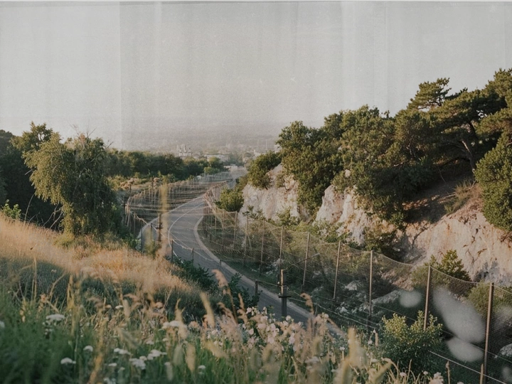 The Landscapes That Protected Us