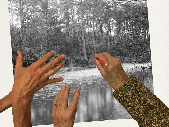 Eco-Amnesia: in search of forgotten perspectives