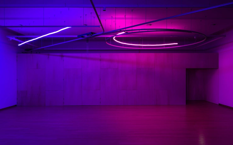 The Counter-White Cube