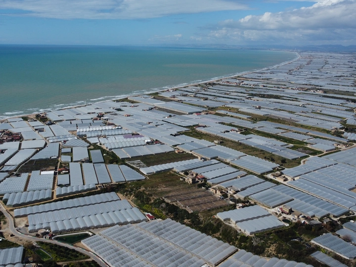 “Fascia Trasformata” a migrating landscape