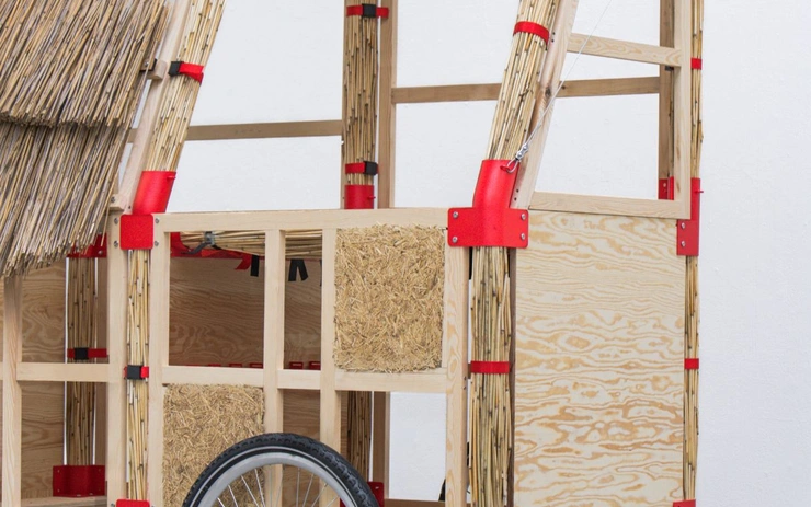 Building with reed plants for community creation.