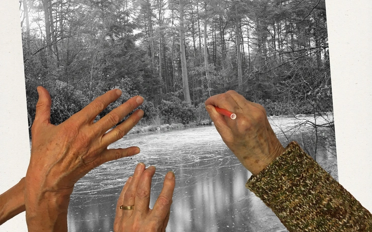 Eco-Amnesia: in search of forgotten perspectives