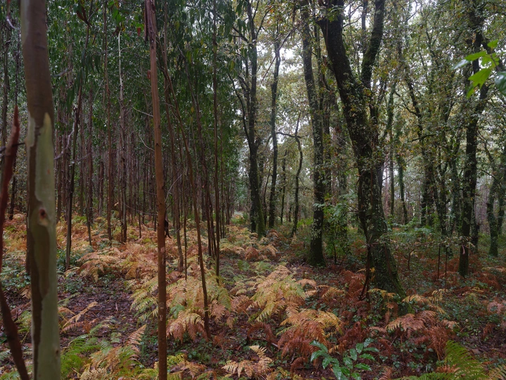 It was all fields once