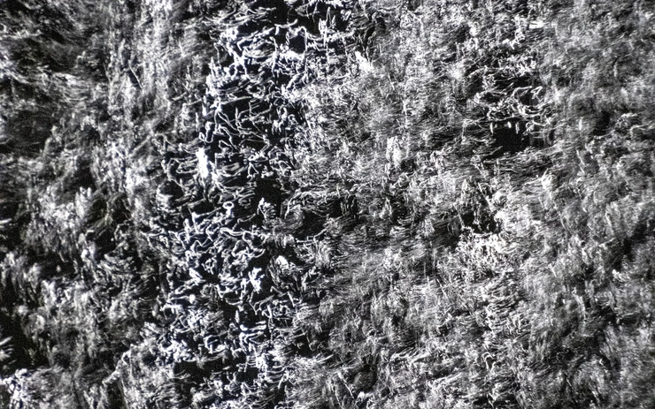 Water as Collaborator