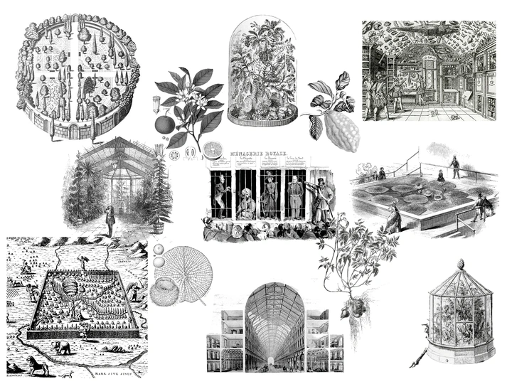 Through the Lens of the Greenhouse
