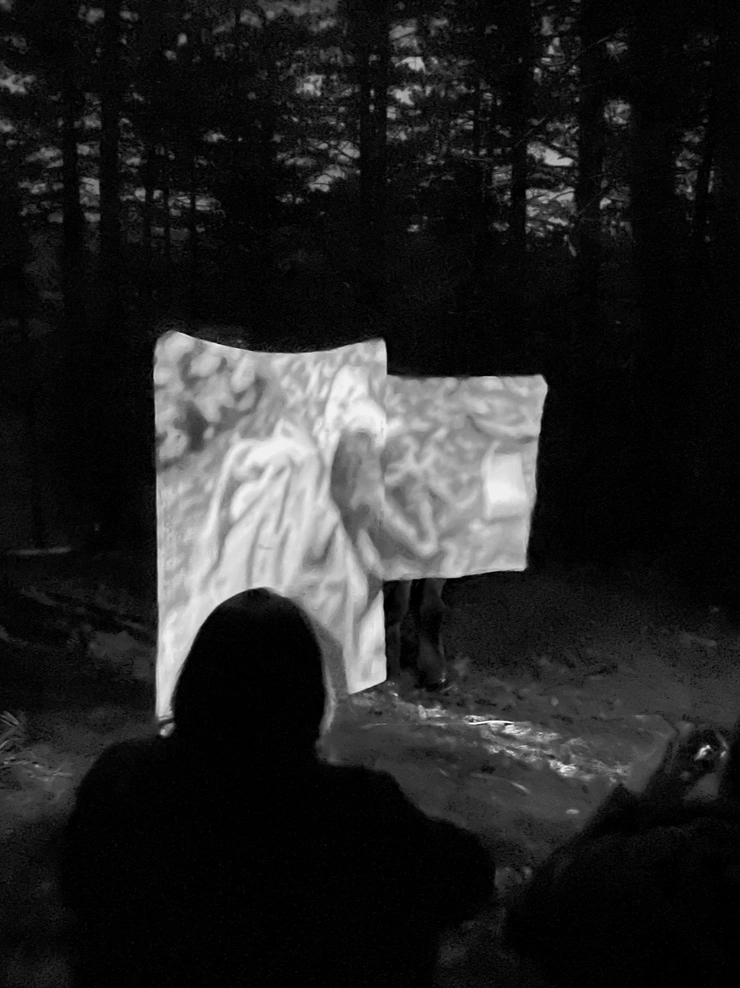 Prole di Zeno Spring School