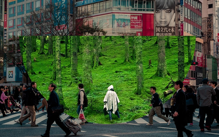 Shirin Yoku _ Urban Meditation Cabin