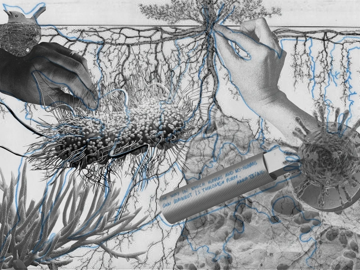 Symbiocene Architecture Project