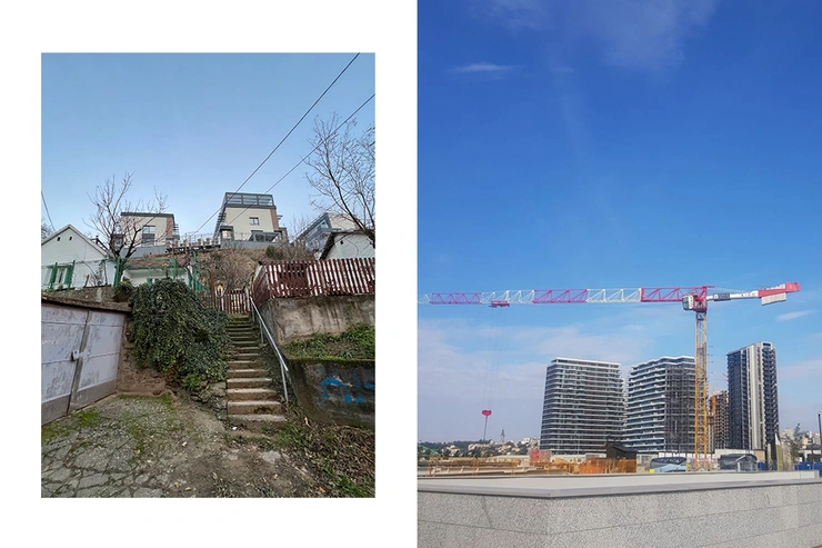 Understanding City Growth