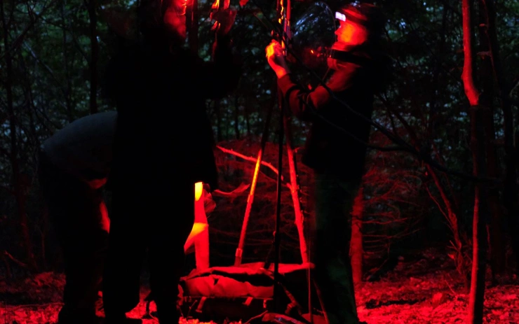Sonic Investigations