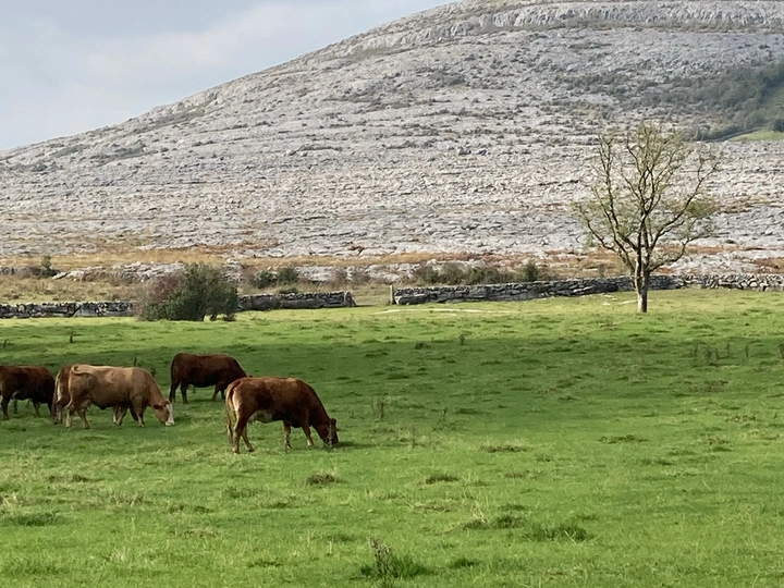 Shallow Time: The Burren