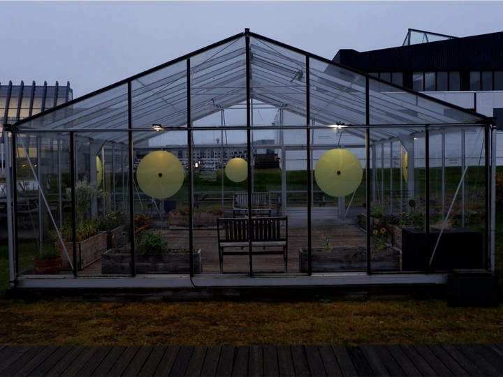 Greenhouses of Attention