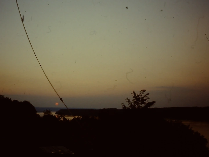 Lines of Wood, Layers of Land