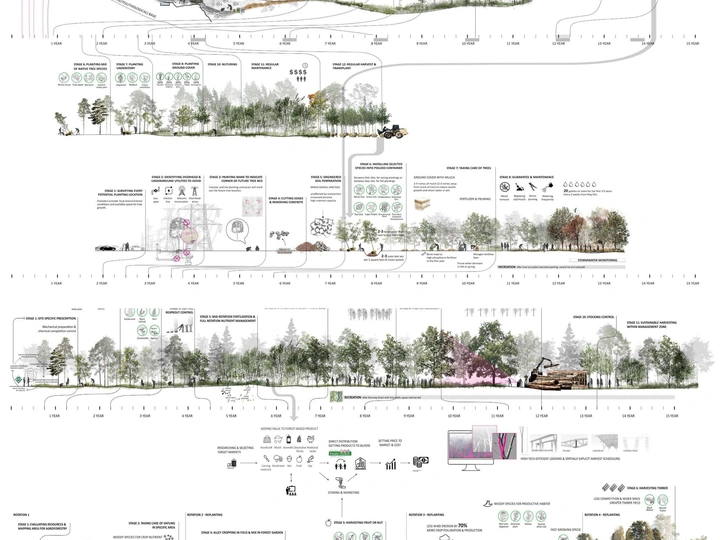 Timber economies of joy on HV's urban fringe