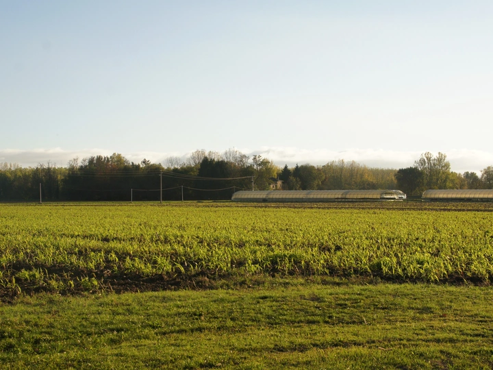 Commons Governance: A European Atlas