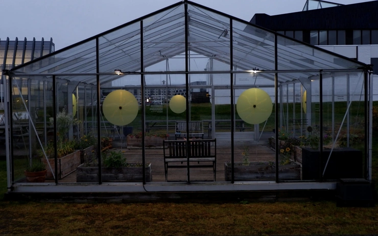 Greenhouses of Attention