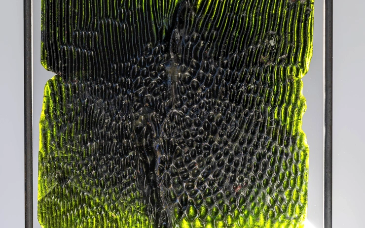 Living Glass Landscapes