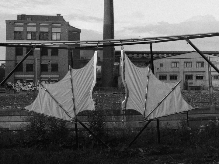 (em)Bodied Animal Training