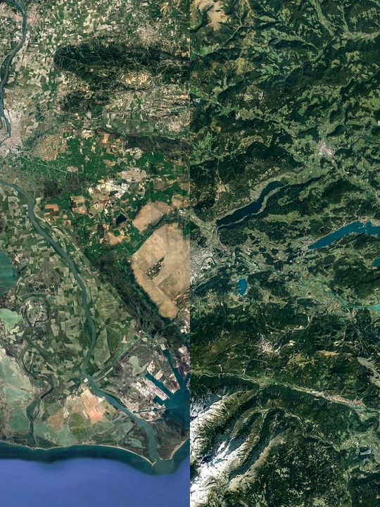 Bioregional Pedagogies