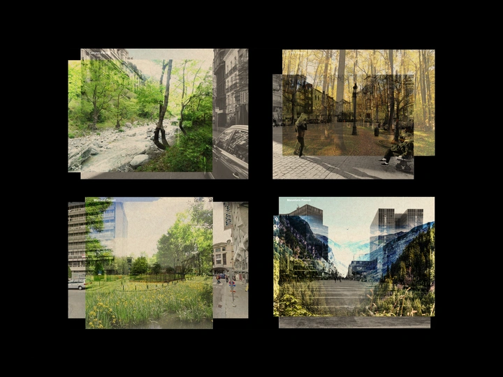Trees First | The Public Spaces of the Forest-City
