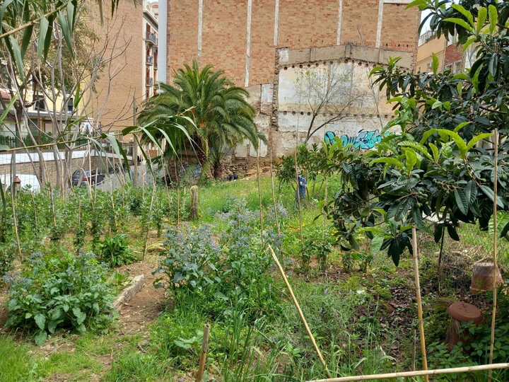 Climate Land Trust