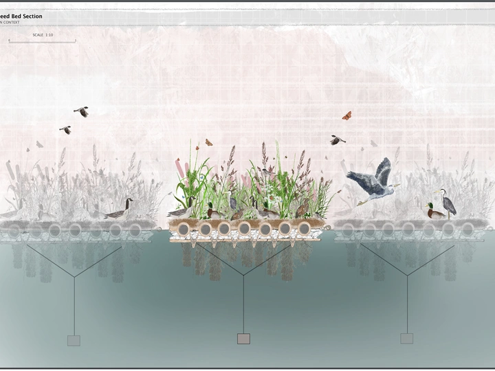 Liquid Futures- Floating Biodiversity Habitats