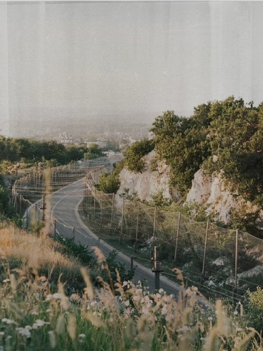 The Landscapes That Protected Us
