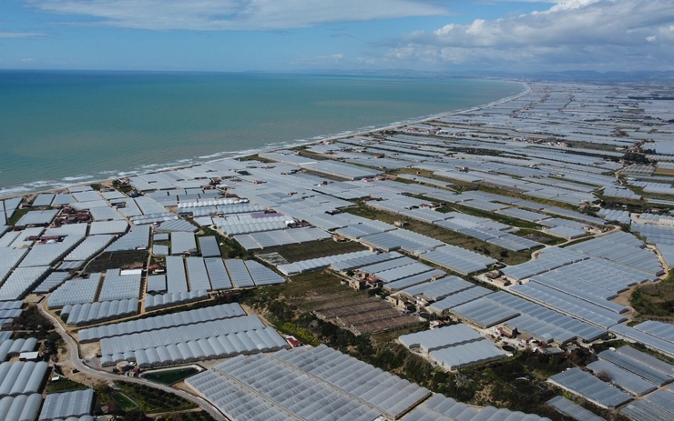 “Fascia Trasformata” a migrating landscape