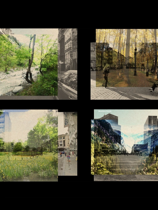 Trees First | The Public Spaces of the Forest-City