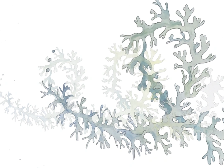 The Spiral Model - theory, framework, manifesto