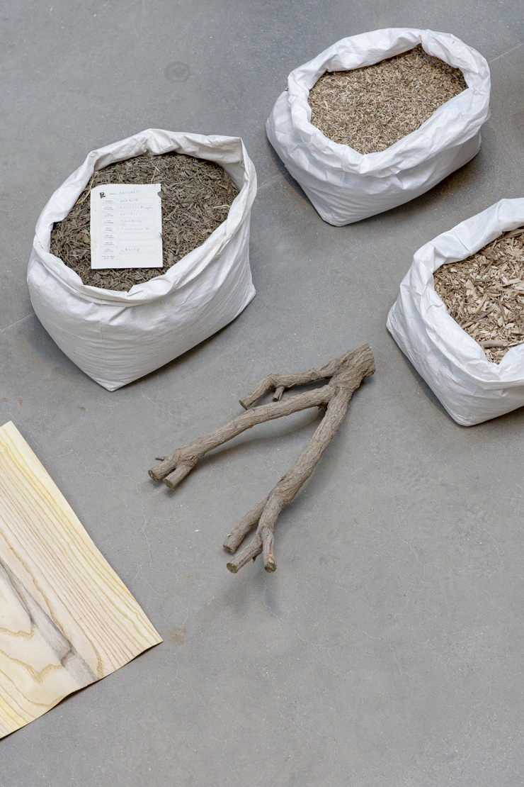 Bioregional Design Practice