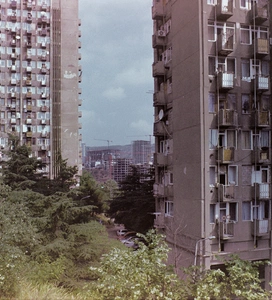 Teimuraz Gabunia; Veriko Shengelia; Dea Khizanishvili;