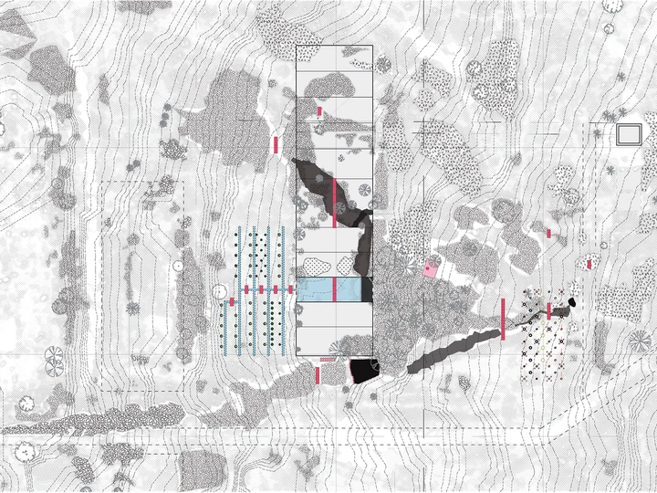 Surplus Gardens