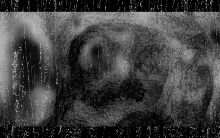 The Shape of Resilience