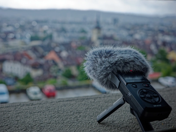 Urban Soundscape Ecology for the Multispecies City