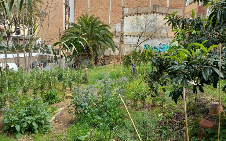 Climate Land Trust