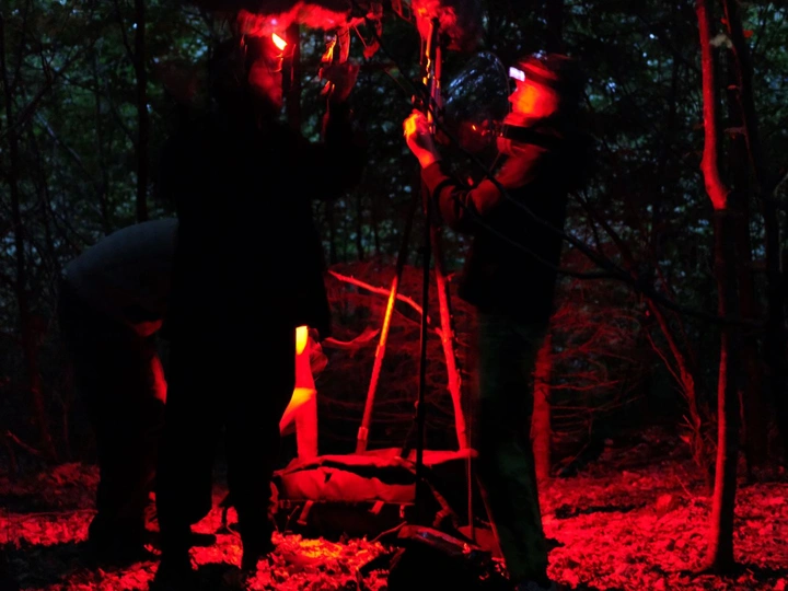 Sonic Investigations