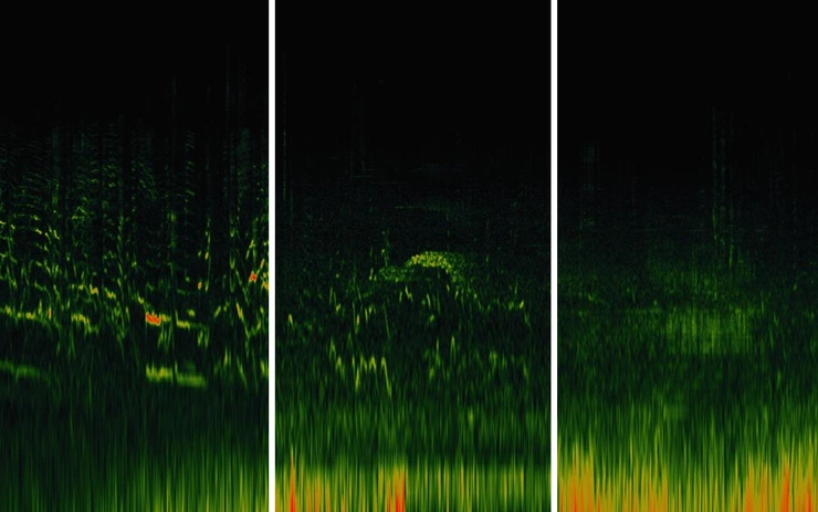 Multi-layered listening to spatial appropriation