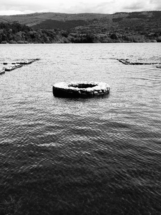 Ecologies of Scarcity